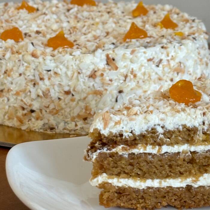 Torta vegana cocco albicocca